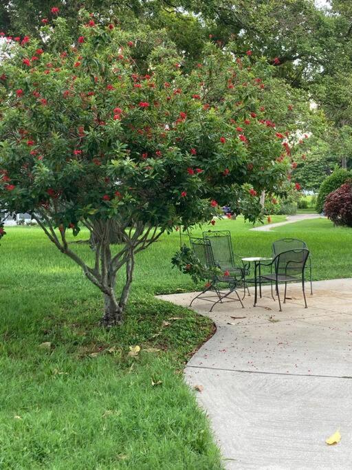 All Season Paradise In Cortez Bradenton Exterior foto